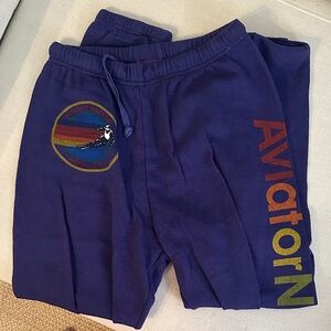 Aviator Nation Purple Joggers with Multicolor Logo